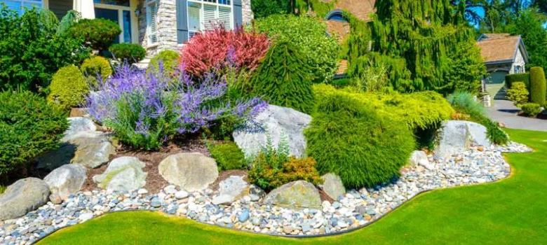 Landscape Design